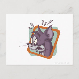 Carte Postale Tom Scaredy Cat
