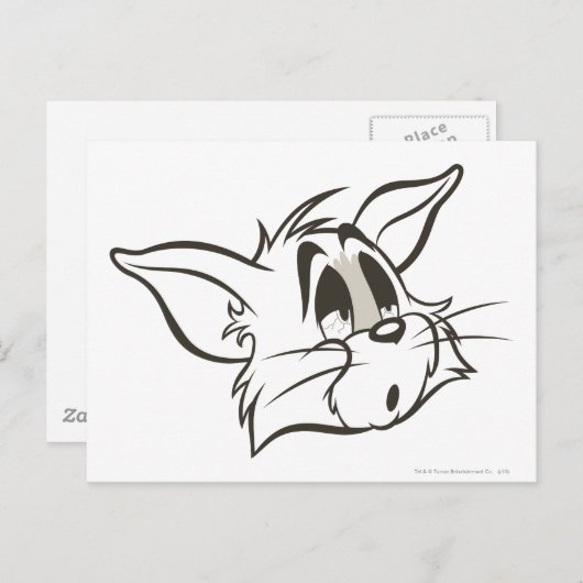 Carte Postale Tom Sleepy Chat (Devant / Derrière)