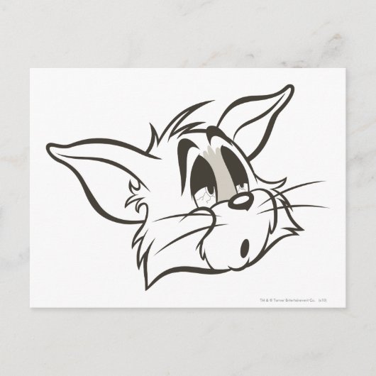 Carte Postale Tom Sleepy Chat (Devant)