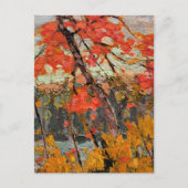 Carte Postale Tom Thomson - Twisted Maple (Devant)