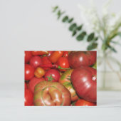 Carte postale tomate (Debout devant)
