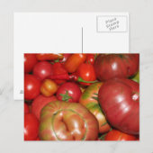 Carte postale tomate (Devant / Derrière)