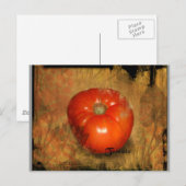 Carte Postale Tomate (Devant / Derrière)