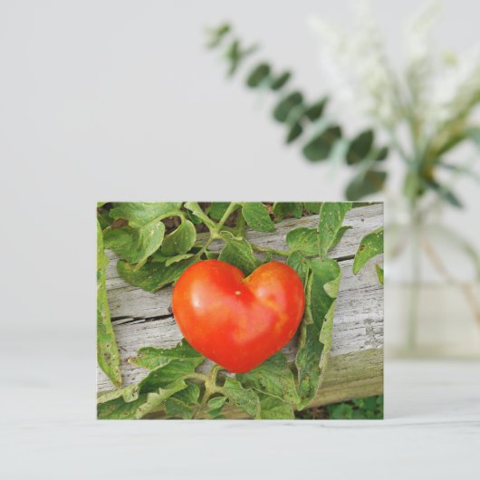 Carte Postale Tomate en forme de cœur (Debout devant)