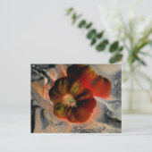 Carte Postale "Tomate et dentelle" Numériquement modifié (Debout devant)