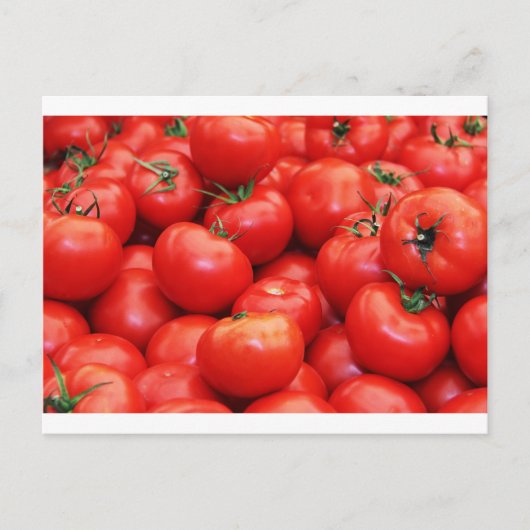 Carte Postale Tomates (Devant)