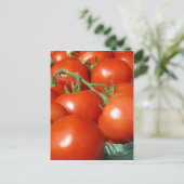 Carte Postale Tomates (Debout devant)