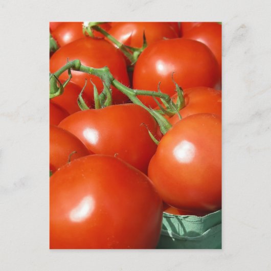 Carte Postale Tomates (Devant)