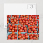 Carte Postale Tomates à vendre (Devant / Derrière)
