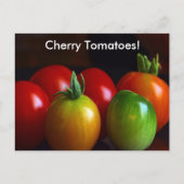 Carte Postale Tomates cerises (Devant)
