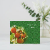 Carte Postale Tomates Cerises Sur La Vigne Nature (Debout devant)