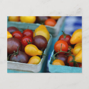 Carte Postale Tomates de l'héloome
