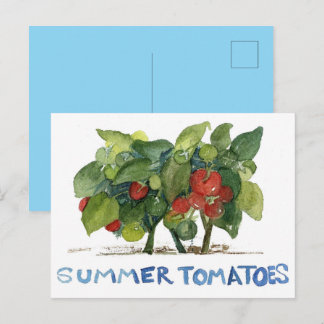 Carte Postale Tomates d'été Jardin de légumes Fruit Legume Corre