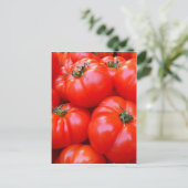 Carte Postale tomates fraîches (Debout devant)