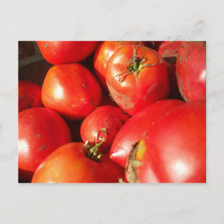 Carte Postale Tomates fraîches cuites