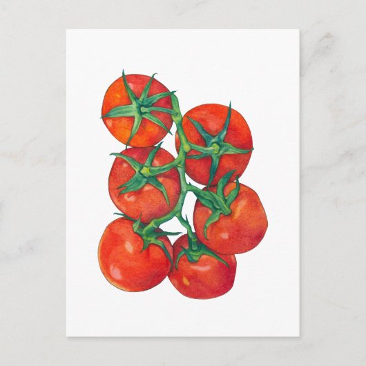 Carte postale Tomates rouges (Devant)