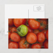 Carte Postale tomates rouges avec un vert à vendre à (Devant / Derrière)