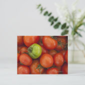 Carte Postale tomates rouges avec un vert à vendre à (Debout devant)