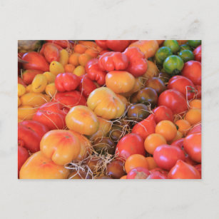 Carte Postale Tomates sur un marché français