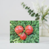 Carte postale Tomato Heart (Debout devant)