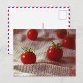 Carte postale "Tomato Party" (Devant / Derrière)