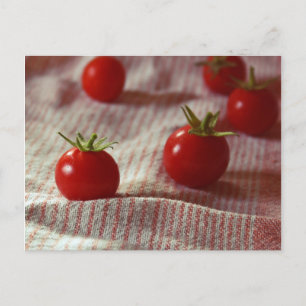 Carte postale "Tomato Party"