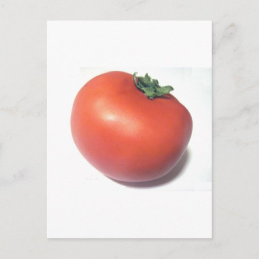 Carte Postale Tomato rouge (Devant)