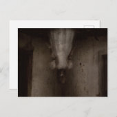 Carte Postale Tombé Je Te Vois (Devant / Derrière)