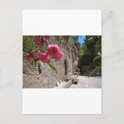 Carte Postale Tombe Jeruselum Isreal de jardin (Devant)