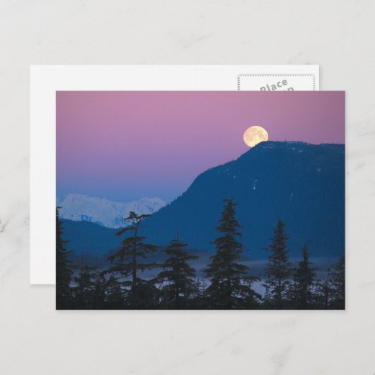 Carte Postale Tombe nocturne en Alaska (Devant / Derrière)