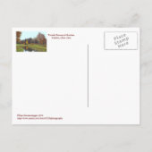CARTE POSTALE "TOMBER À TOLEDO BOTANICAL GARDEN" (Dos)