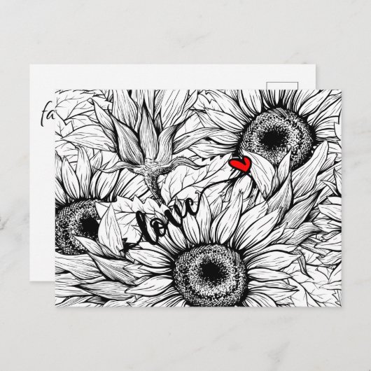 Carte Postale tomber amoureux - Fleurs de soleil noires et blanc (Devant / Derrière)