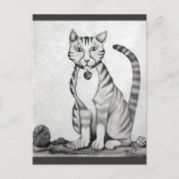 TomCat vieux tigre