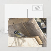 Carte Postale tomtit_3 (Devant / Derrière)