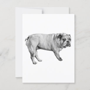 Carte postale Tonal Bulldog