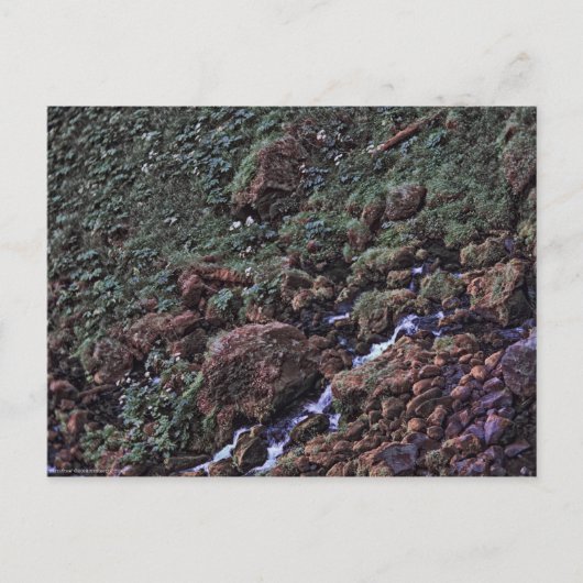 Carte Postale ToneTerre (Devant)