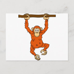 Carte Postale Tongo Chimp
