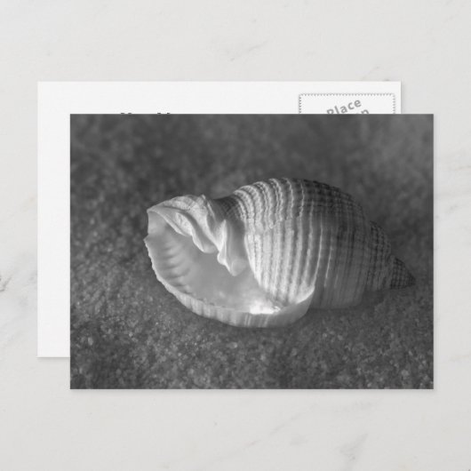 Carte Postale Tonna Tesselata (Devant / Derrière)