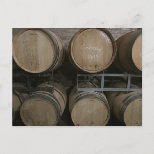 Carte Postale tonneaux de vin (Devant)