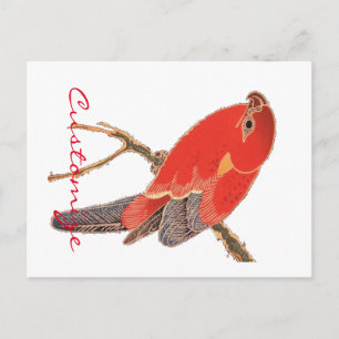 Carte Postale Tonnerre de perroquet rouge tropical