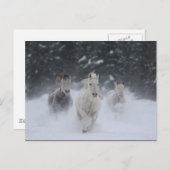 Carte Postale Tonnerre roulant (Devant / Derrière)