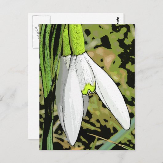 Carte Postale Tons de neige (Devant / Derrière)