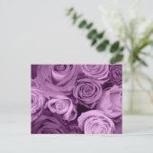 Carte Postale Tons de Roses violets (Debout devant)