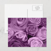 Carte Postale Tons de Roses violets (Devant / Derrière)