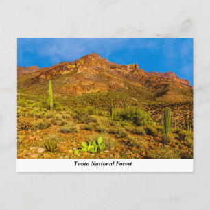 Carte postale Tonto National Forest