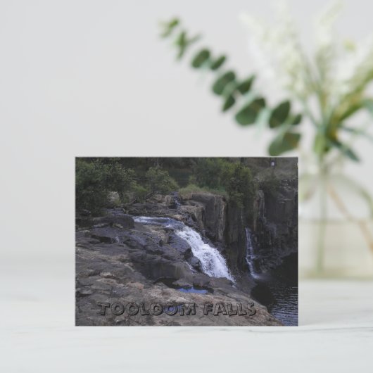Carte Postale Tooloom Falls (Debout devant)