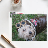 Carte Postale Top Dog in Aviator