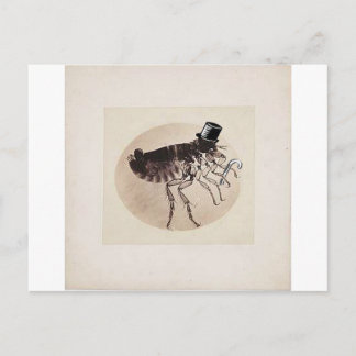 Carte Postale Top Hat and Cane Flea