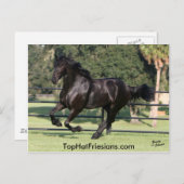 Carte Postale Top Hat Friesians (Devant / Derrière)