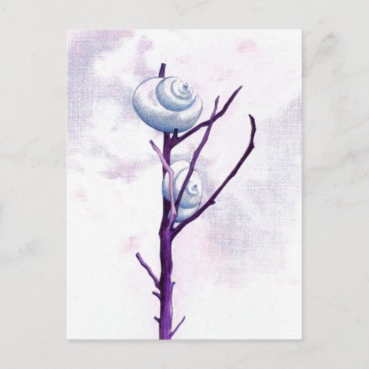 Carte postale Top Snail (Devant)
